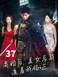 厨房征服局长夫人影视海报