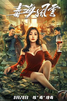 阿庆乱史小说阅读全文影视海报