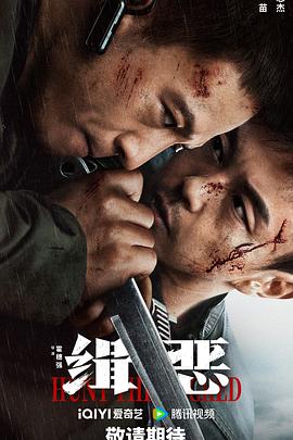 元首的愤怒nobody影视海报